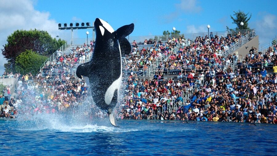 sea world