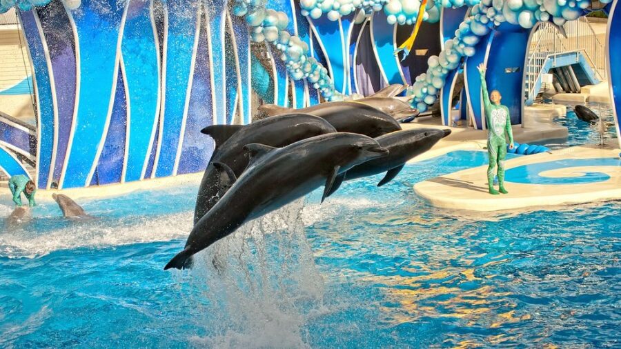 sea world