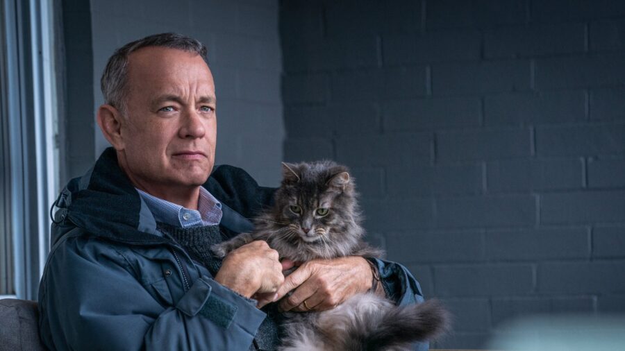 tom hanks