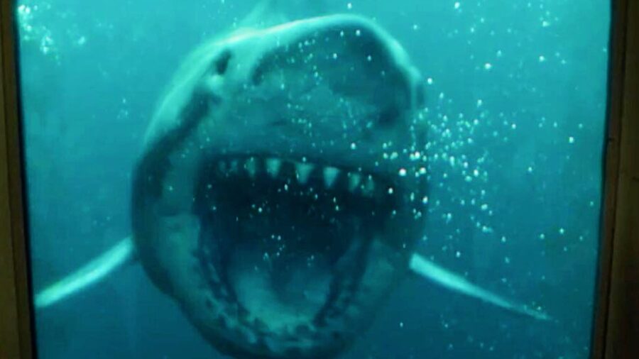 47 Meters Down