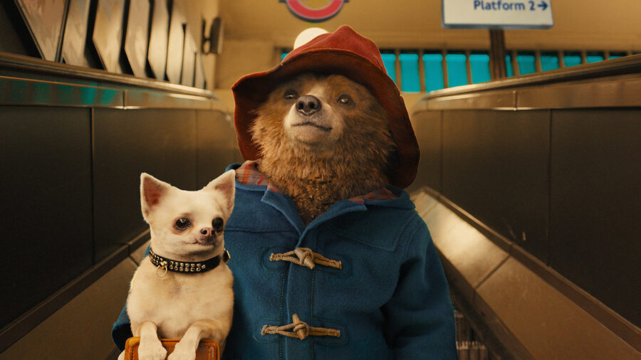 paddington