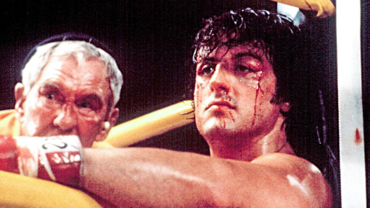 sylvester stallone rocky