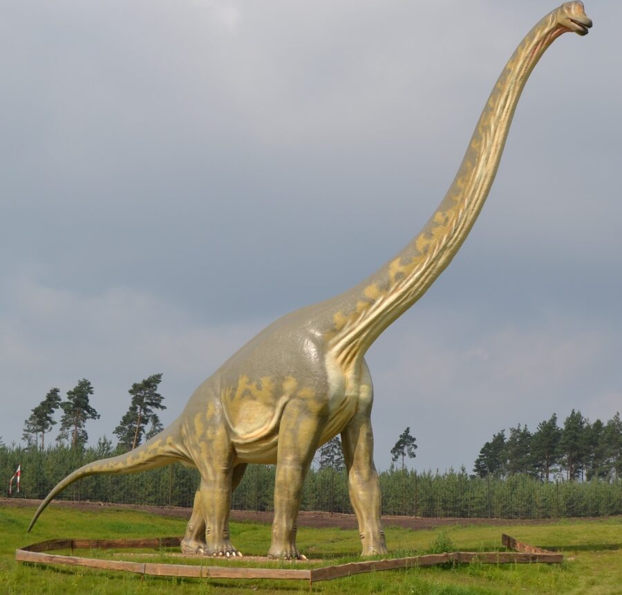 ديناصور طويل العنق