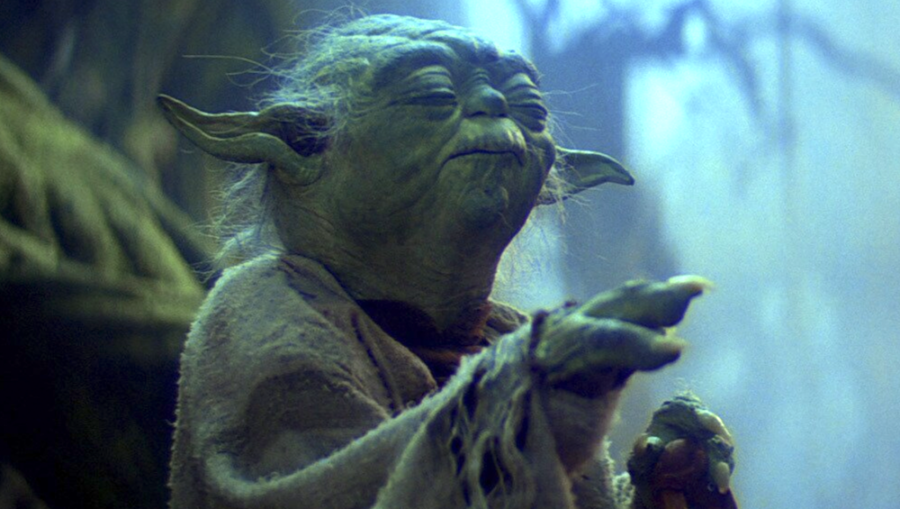 Yoda monkey in Star Wars