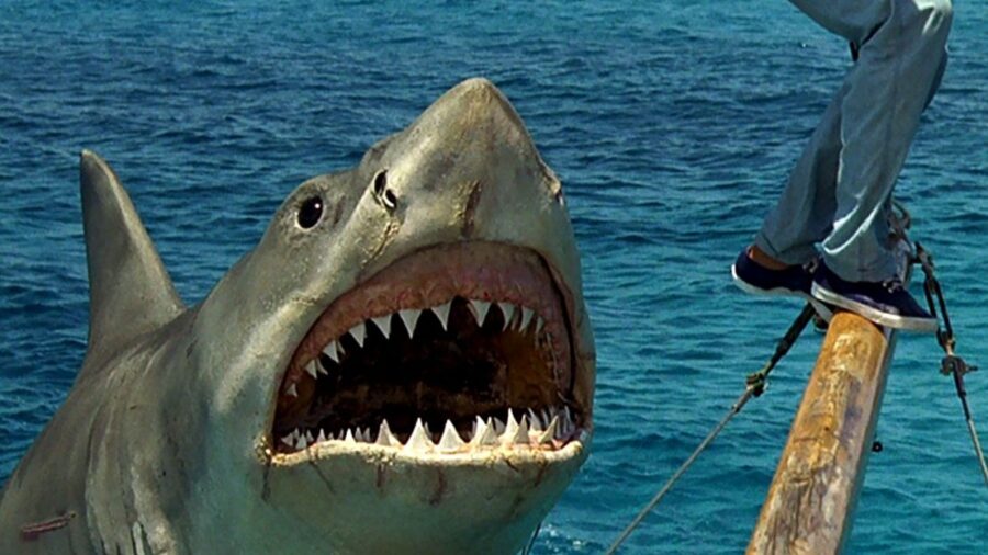 movie sequel jaws