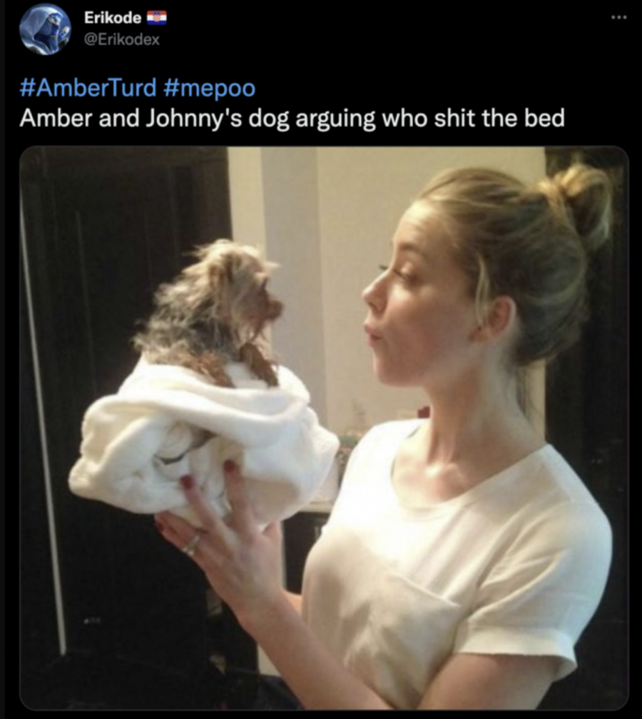 Amber Heard meme