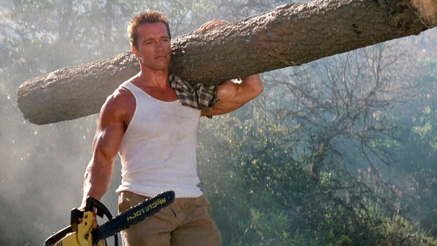 Arnold Schwarzenegger Working On Sequel To His Most Ridiculous Movie