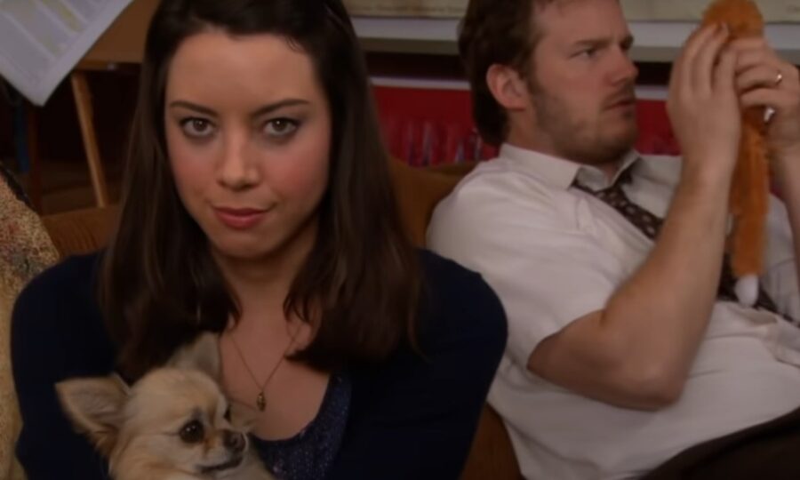 Aubrey Plaza as April Ludgate, Life After Pawnee: See What Your Favourite  Parks and Recreation Stars Are Up To!