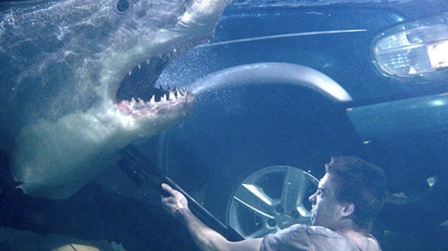shark movie