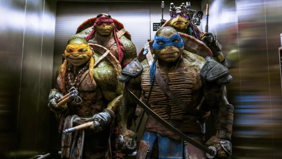 teenage mutant ninja turtles