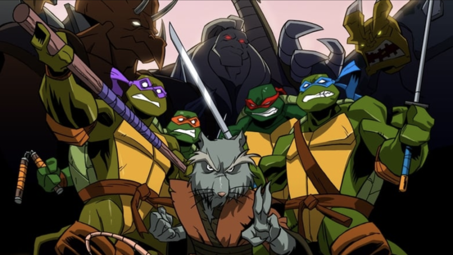 teenage mutant ninja turtles