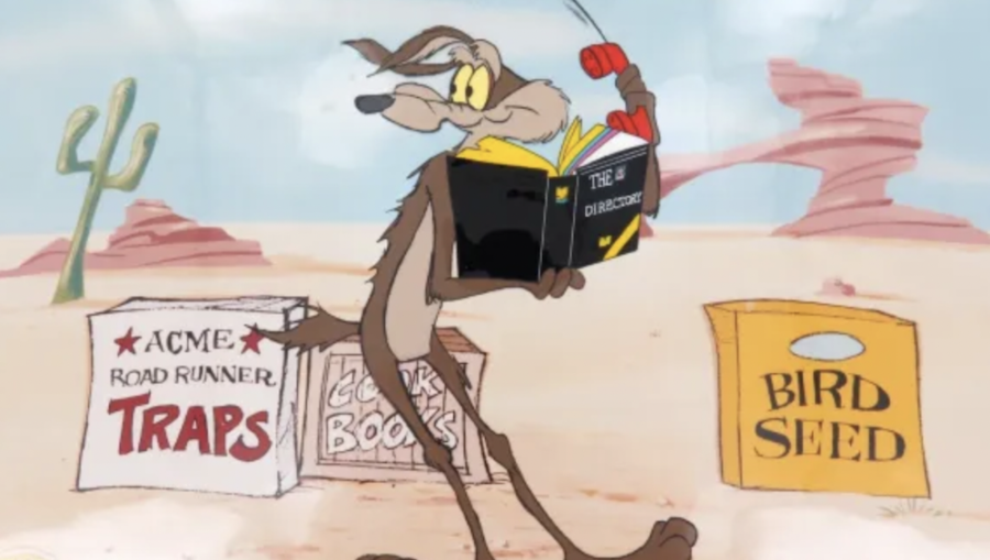 coyote vs acme