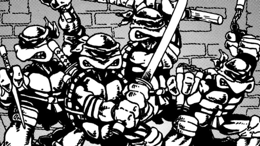 teenage mutant ninja turtles