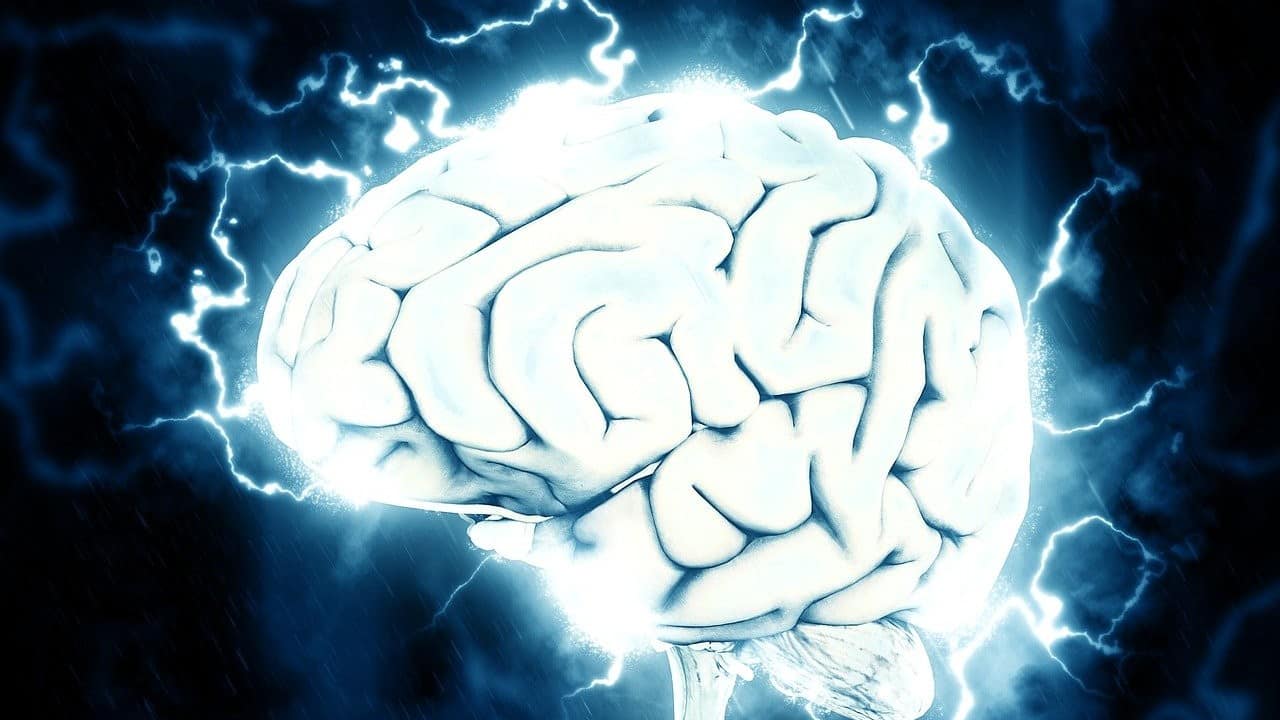 human brain computer