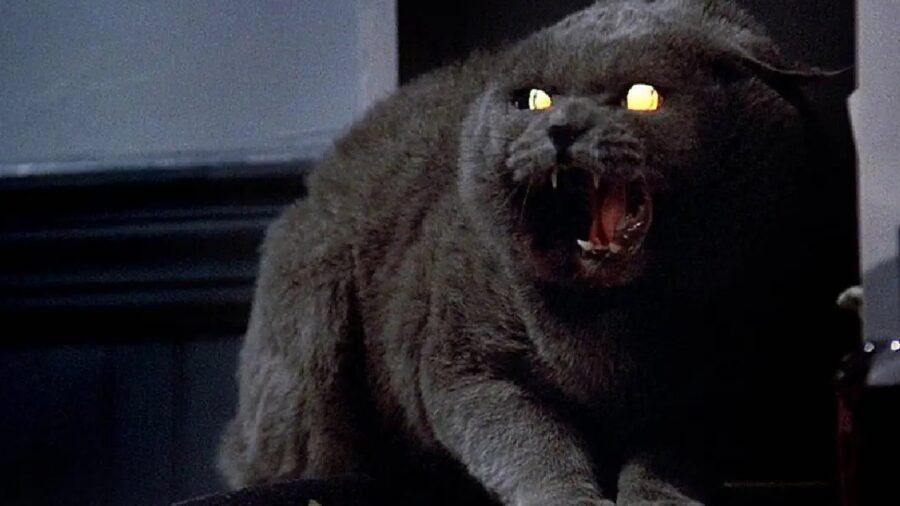 stephen king pet sematary