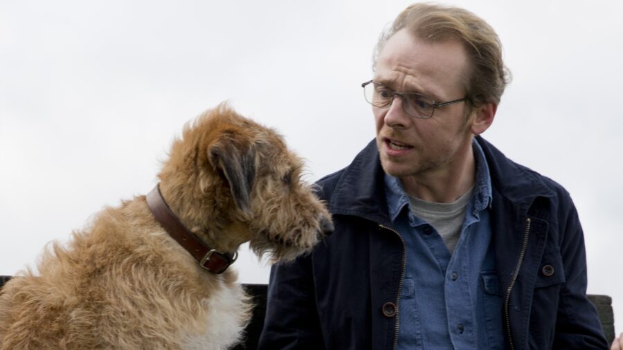 absolutely anything