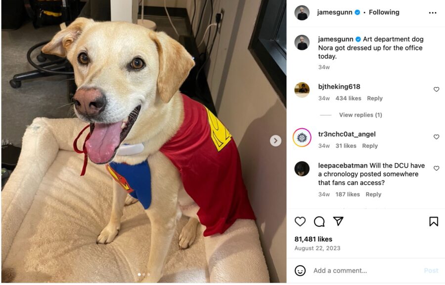 james gunn krypto